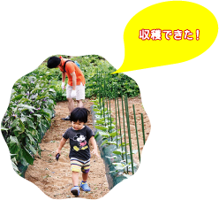 収穫できた！