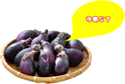 寺島なす