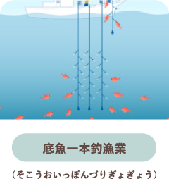 底魚一本釣漁業