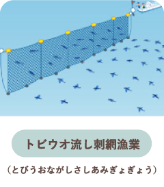 トビウオ流し刺網