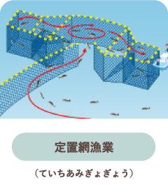 定置網漁業