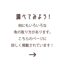 他にもいろいろな魚の取り方があります。