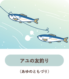 アユの友釣り