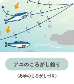 アユのころがし釣り