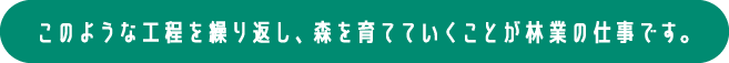 このような工程を繰り返し、森を育てていくことが林業の仕事です。