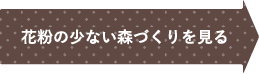 花粉の少ない森づくりを見る