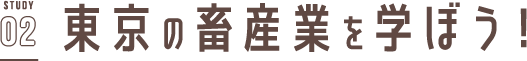 STUDY02 東京の畜産を学ぼう！