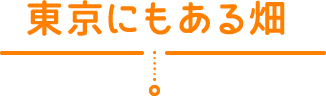 東京にもある畑