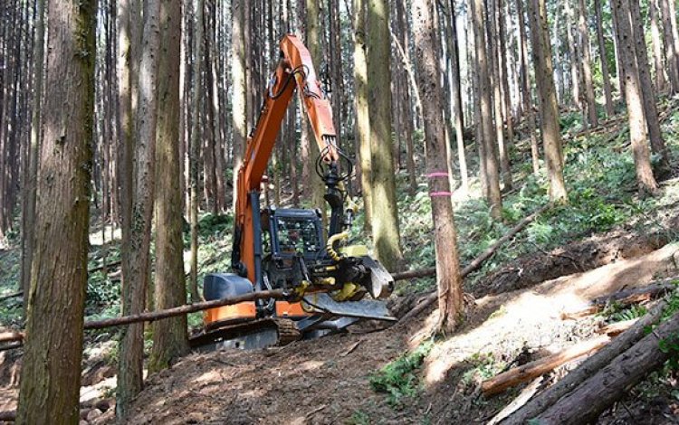 無垢材は伐採されても生き続ける