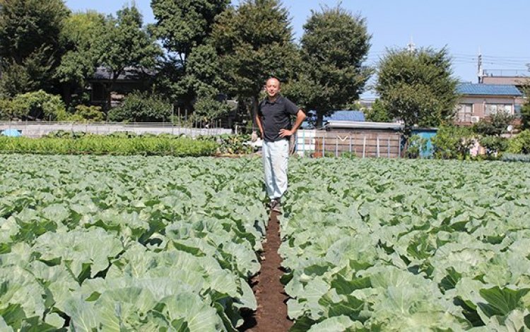 緑の財産・練馬のキャベツ　井之口喜實夫さん・勇喜夫さん