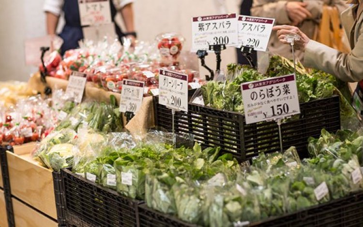 みずみずしい都内産野菜が並ぶ店内　東京狭山茶も取り揃え