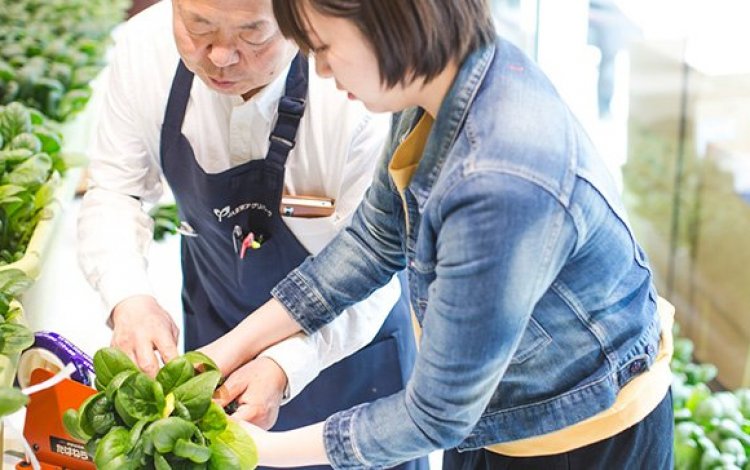 時期によって多彩なイベントを開催！ 都会の真ん中で「農業体験」も