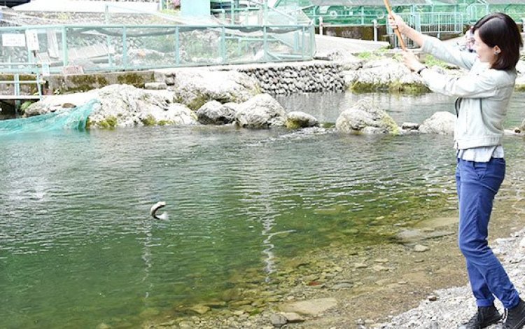 魚の躍動感に感動しながら釣り上げたニジマス