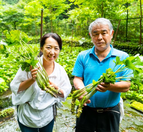 奥多摩わさび