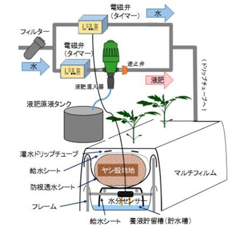 東京エコポニック