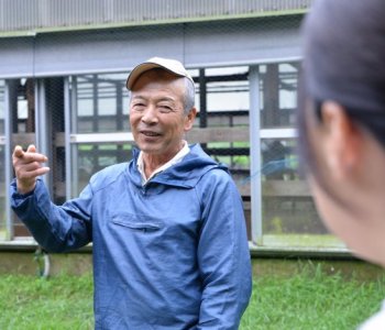 『東京の幻の肉「東京ビーフ」』