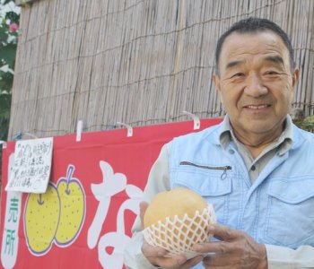 ナシ摘み取り園「上原園」