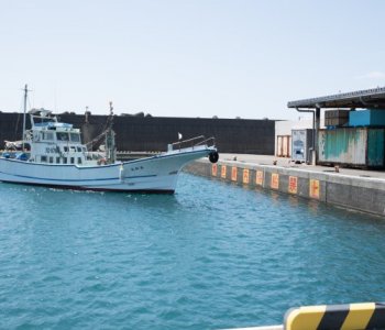 三宅島のお魚をハント！