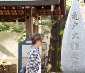 『晩秋の江戸東京野菜めぐり』