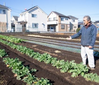 『江戸東京野菜をメジャーに』