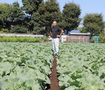 『緑の財産・練馬のキャベツ　井之口喜實夫さん・勇喜夫さん』