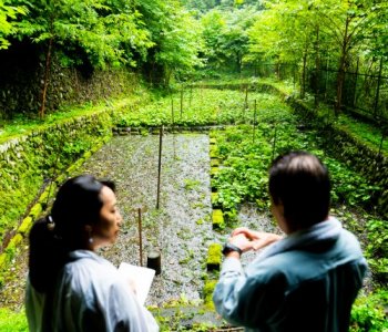 東京産のわさびをハント！