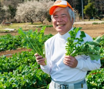 伝統野菜の「ノラボウナ」をハント！