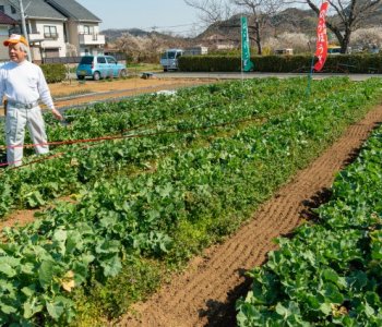 『ここでしか出せない味を楽しみながら追求したい』