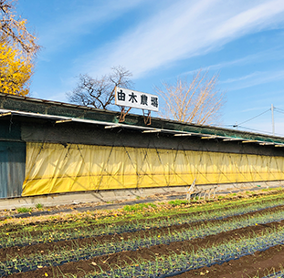 由木農場