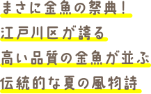 まさに金魚の祭典！江戸川区が誇る高い品質の金魚が並ぶ伝統的な夏の風物詩