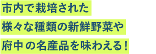 市内で栽培された様々な種類の新鮮野菜や府中の名産品を味わえる！