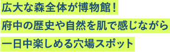 広大な森全体が博物館！府中の歴史や自然を肌で感じながら一日中楽しめる穴場スポット