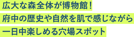 広大な森全体が博物館！府中の歴史や自然を肌で感じながら一日中楽しめる穴場スポット