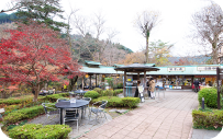 Sawanoi Park(Ozawa Brewery)