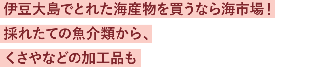 伊豆大島でとれた海産物を買うなら海市場！採れたての魚介類から、くさやなどの加工品も充実☆