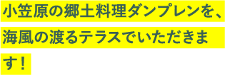 小笠原の郷土料理ダンプレンを、海風の渡るテラスでいただきます！