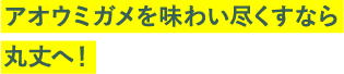 アオウミガメを味わい尽くすなら丸丈へ！