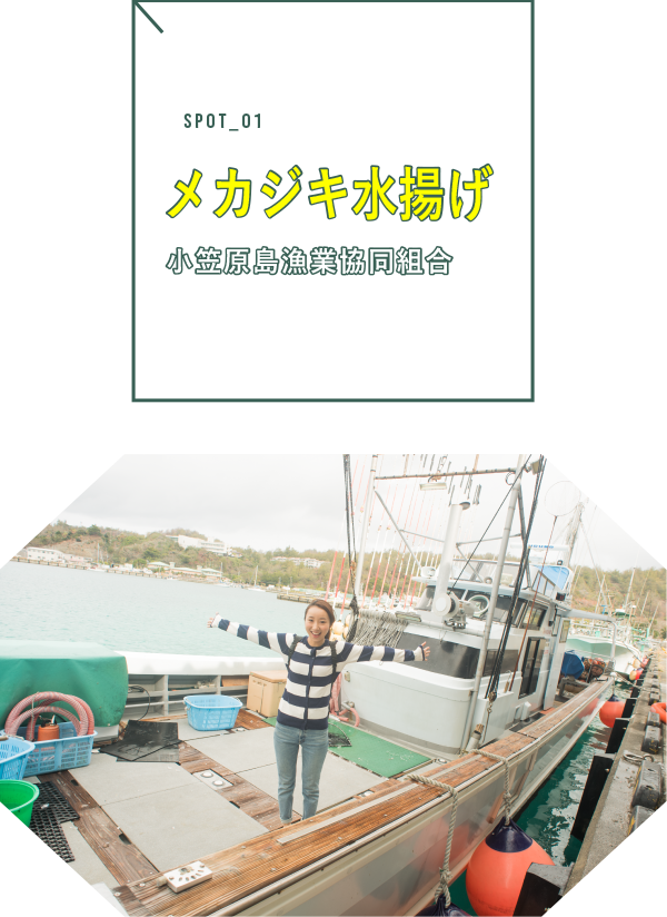 カジキ水揚げ、小笠原漁業協同組合