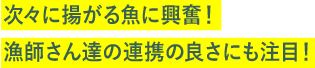 次々に揚がる魚に興奮！漁師さん達の連携の良さにも注目！