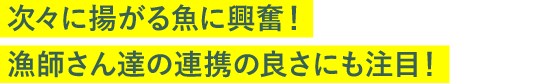 次々に揚がる魚に興奮！漁師さん達の連携の良さにも注目！