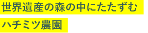 世界遺産の森の中にたたずむハチミツ農園