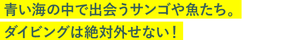 青い海の中で出会うサンゴや魚たち。ダイビングは絶対外せない！