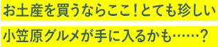 お土産を買うならここ！とても珍しい小笠原グルメが手に入るかも……？