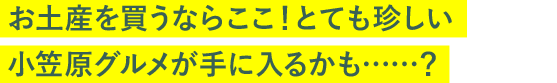 お土産を買うならここ！とても珍しい小笠原グルメが手に入るかも……？