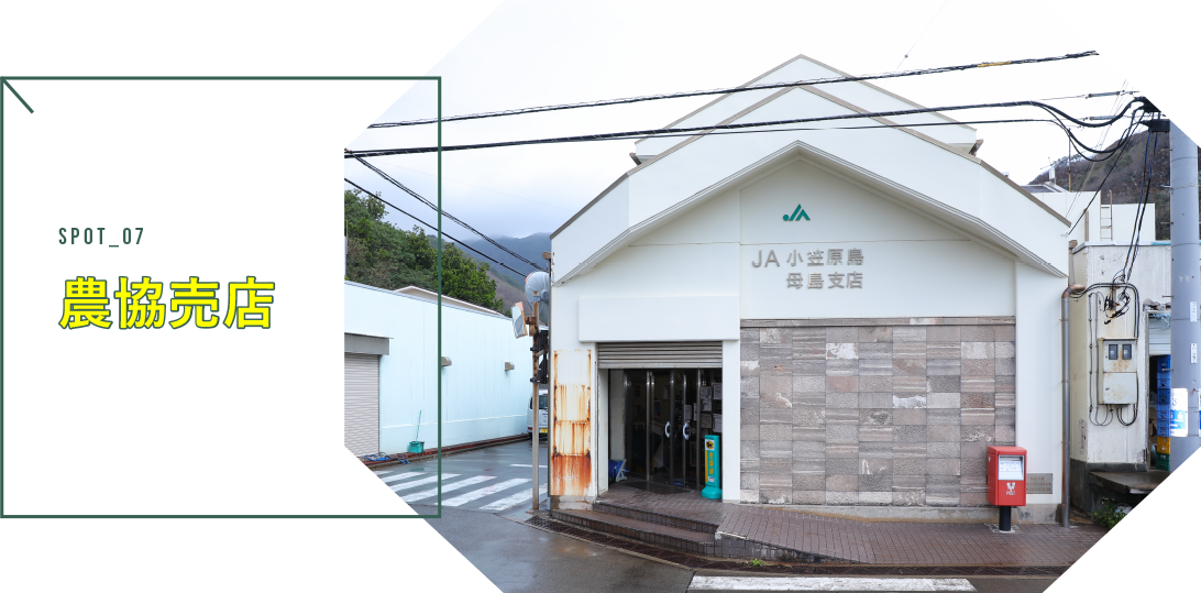 農協売店