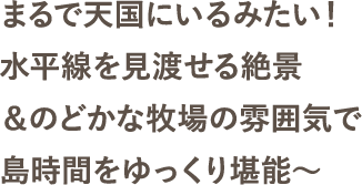 まるで天国にいるみたい！水平線を見渡せる絶景＆のどかな牧場の雰囲気で島時間をゆっくり堪能～