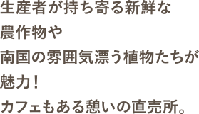 生産者が持ち寄る新鮮な農作物や南国の雰囲気漂う植物たちが魅力！カフェもある憩いの直売所。