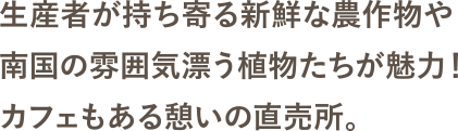 生産者が持ち寄る新鮮な農作物や南国の雰囲気漂う植物たちが魅力！カフェもある憩いの直売所。