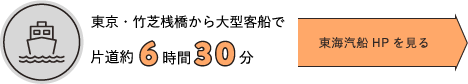 東京・竹芝桟橋から大型客船で片道約6時間30分　東海汽船HPを見る