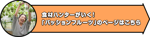 食材ハンターがいく！「パッションフルーツ」のページはこちら